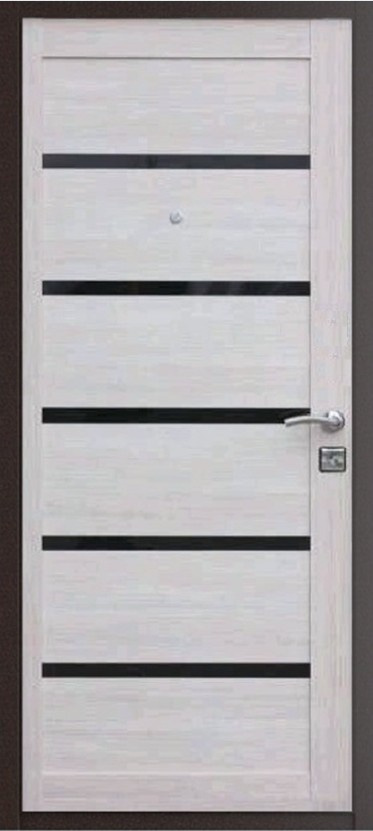 Входная дверь Элит строй Скин царга