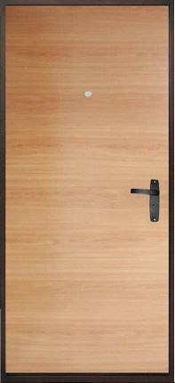 Входная дверь Лайт