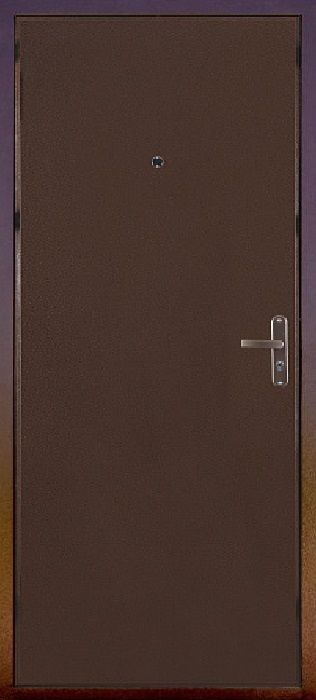 Входная дверь Эконом мет/мет