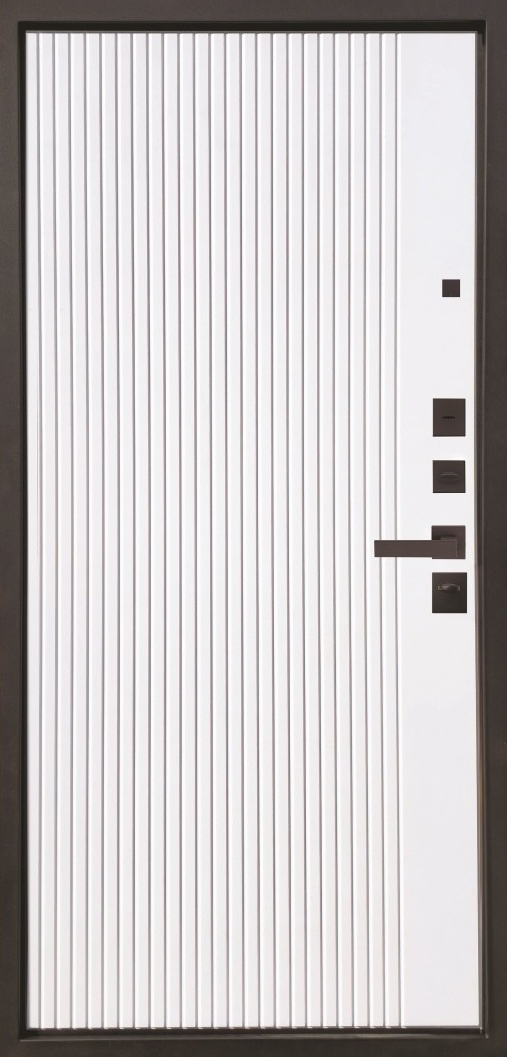 Входная дверь Дуэт